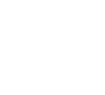 Success Icon